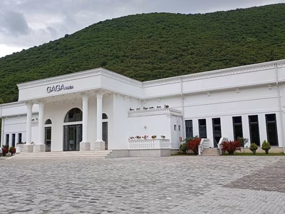 Gaga, Zhelino 3